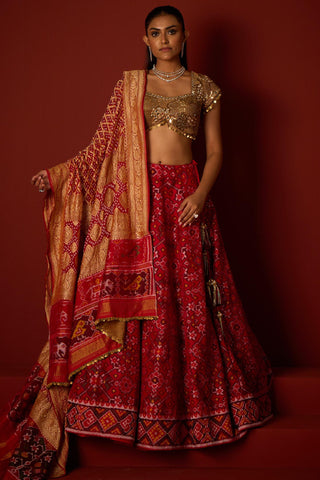 Lehenga set for Indian Wedding – Ruby Red by 29india