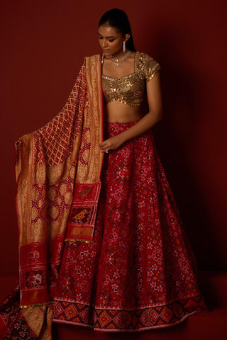 Lehenga set for Indian Wedding – Ruby Red by 29india