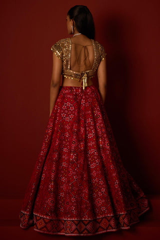 Lehenga set for Indian Wedding – Ruby Red by 29india