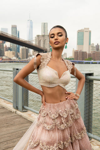 Lehenga Set Indian Wedding Pink Hued Lehenga by Aashima Behl