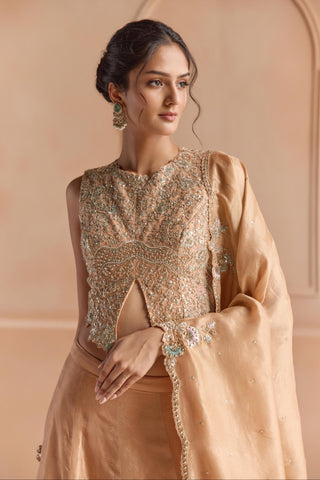 Lehenga Set for Indian Wedding - Gold Off The Record Tissue Lehenga Set by Osaa by Adarsh at Mrs. G

