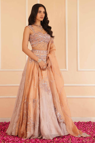 Orange dil se alohi lehenga