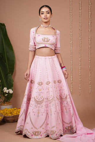 Lehenga set for Indian Wedding – Baby Pink Heavy by AHI Clothing