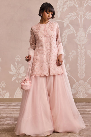 Pink velvet kurta nooreh ever after sharara set