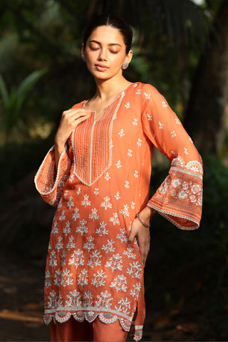 Brown shail reya malgudi days kurta set