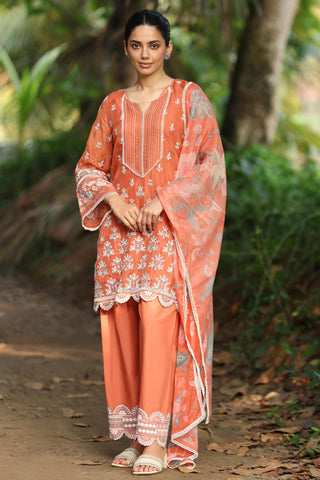 Brown shail reya malgudi days kurta set