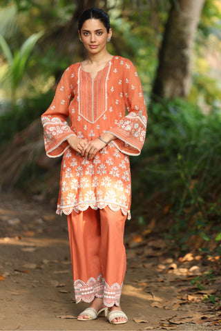 Brown shail reya malgudi days kurta set