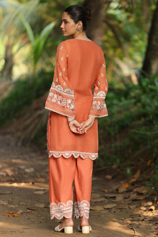 Brown shail reya malgudi days kurta set