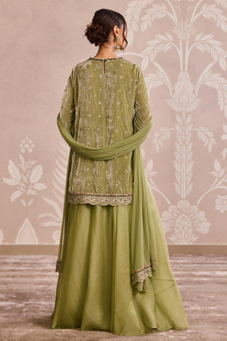 Olive green nooreh ever after sharara set
