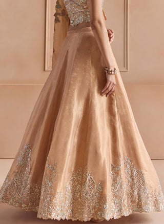 Zoomed-in close-up of the peach tissue skirt with silver paisley and floral hem border by Osaa by Adarsh at Mrs. G