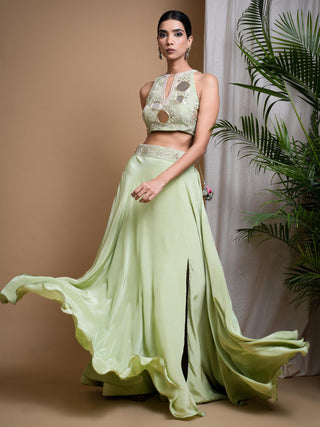 Green sitara indo skirt set
