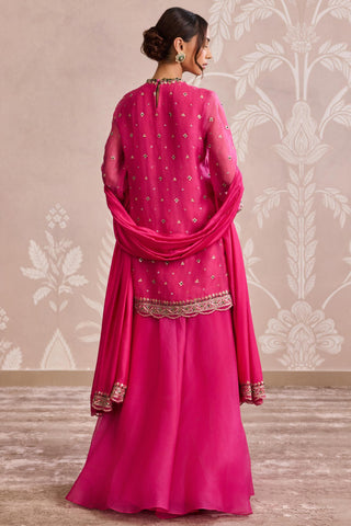 Pink nooreh ever after organza sharara set