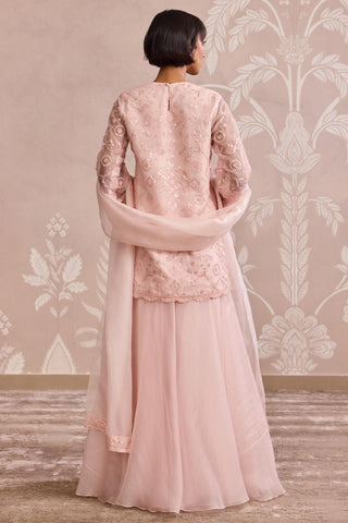 Pink velvet kurta nooreh ever after sharara set