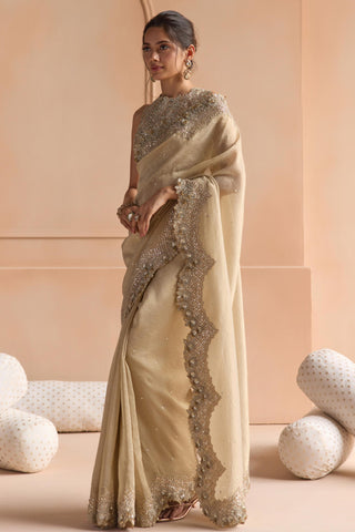 Saree Set for Indian Wedding - Beige Off The Record Tissue Saree Set by Osaa by Adarsh at Mrs. G

