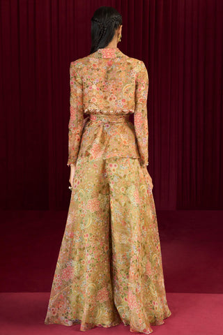 Green echo jazz-e-jashn jacket set