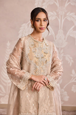 Gold embroidered nooreh ever after sharara set