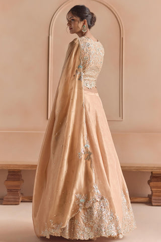Back three-quarter view of peach tissue lehenga with dupatta falling down the back by Osaa by Adarsh at Mrs. G