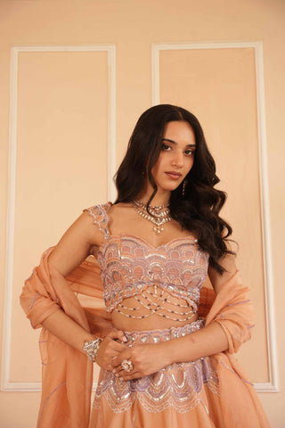 Orange dil se alohi lehenga