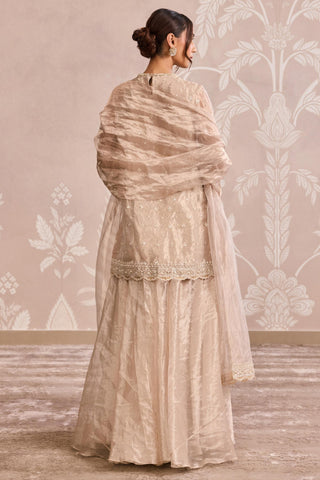 Gold embroidered nooreh ever after sharara set