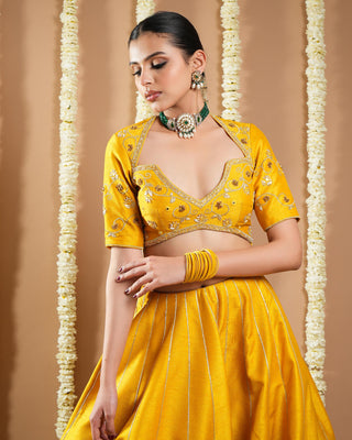 Mustard yellow heavy slub avyanna lehenga set