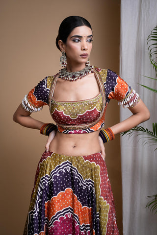 Multicolor sitara digital print heavy lehenga set