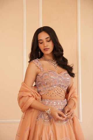 Orange dil se alohi lehenga