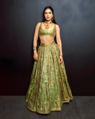 Green reshm angoori lehenga set