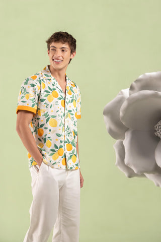 Shirt Contemporary Wear Multicolor Lemon Grove by Zazu
