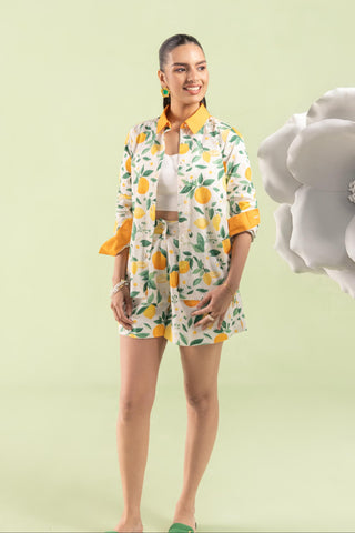 Shorts Set Contemporary Wear Lemon Grove Multicolor by Zazu