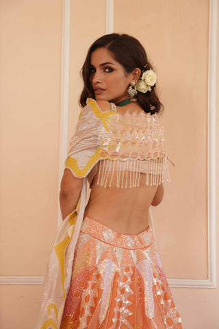 Orange dil se rumi lehenga