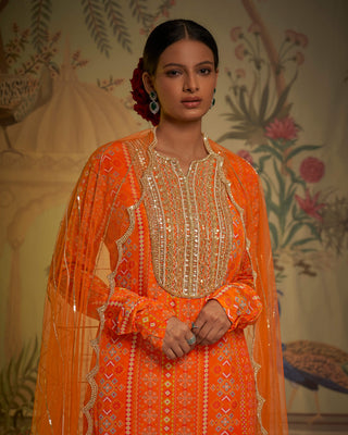 Tangerine patola gharara set