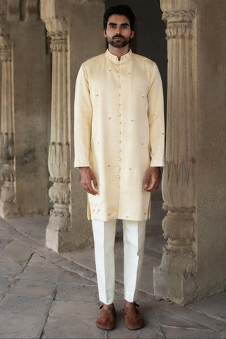 Gold saraansh kurta set