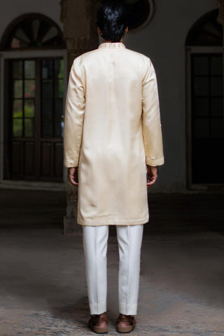 Gold saraansh kurta set