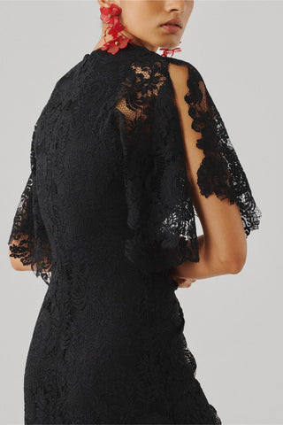 Lace Dress - Contemporary Wear - Orchid Black Ascent by Aroka