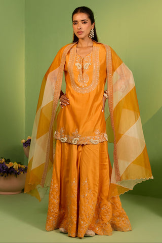 Orange bahaar saphira sharara set