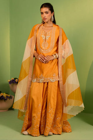 Orange bahaar saphira sharara set