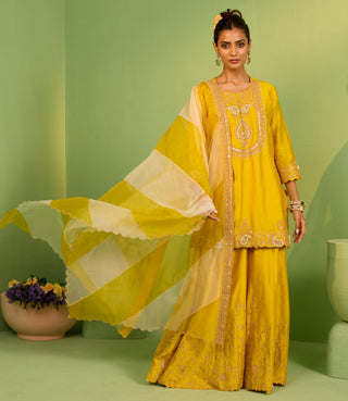 Yellow bahaar sophia sharara set