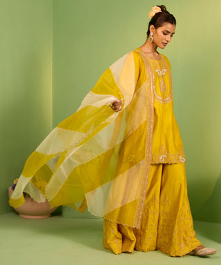 Yellow bahaar sophia sharara set