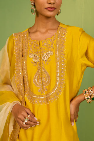 Yellow bahaar sophia sharara set