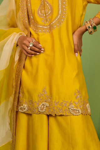 Yellow bahaar sophia sharara set