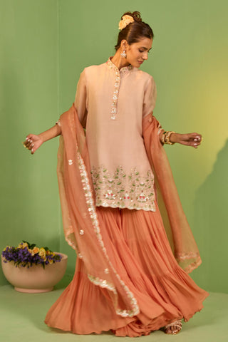 Peach bahaar anisa sharara set