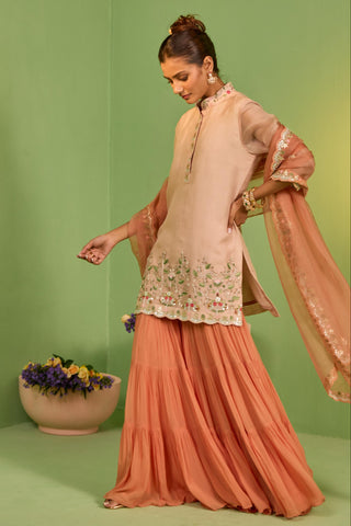 Peach bahaar anisa sharara set
