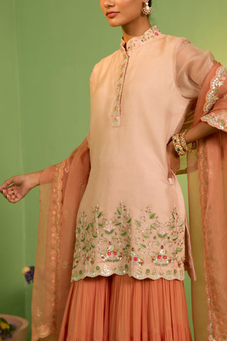 Peach bahaar anisa sharara set