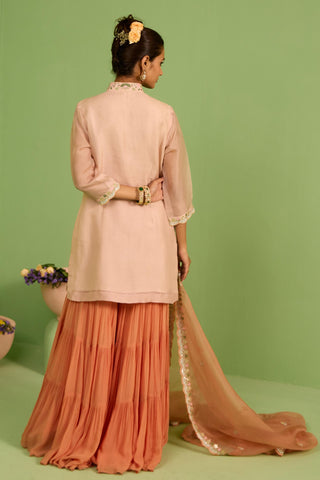 Peach bahaar anisa sharara set