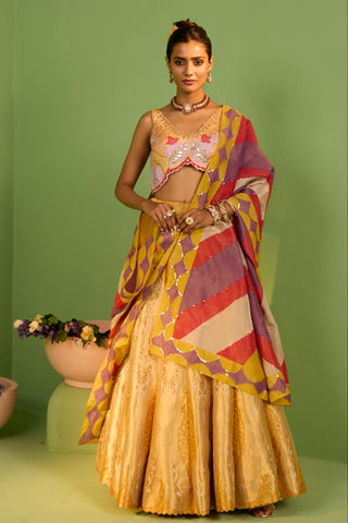 Yellow bahaar noori lehenga set