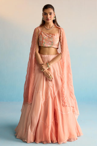 Peach bahaar dalia lehenga set