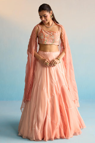 Peach bahaar dalia lehenga set