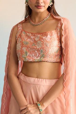 Peach bahaar dalia lehenga set
