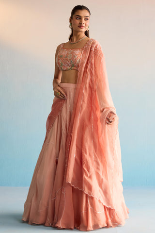 Peach bahaar dalia lehenga set