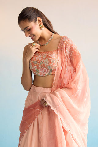 Peach bahaar dalia lehenga set